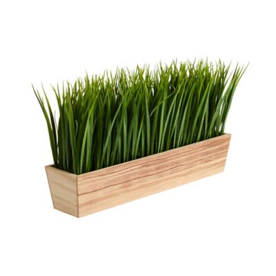Image showing  20 in. Artificial Vanilla Grass Plant in Decorative Planter