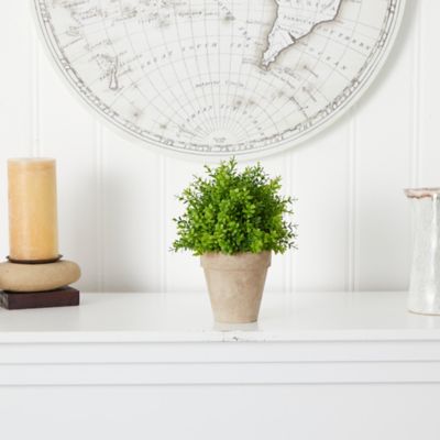 Image showing  8 in. Artificial Boxwood Plant in Decorative Planter