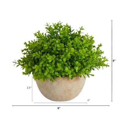 Image showing  5 in. Artificial Boxwood Plant in Decorative Planter