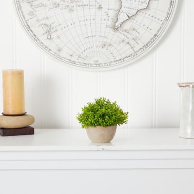 Image showing  5 in. Artificial Boxwood Plant in Decorative Planter