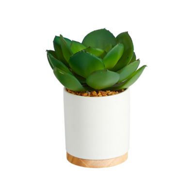 Nearly Natural 6 in. Artificial Succulent Plant in White Ceramic Planter