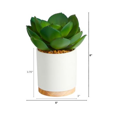 Image showing  6 in. Artificial Succulent Plant in White Ceramic Planter