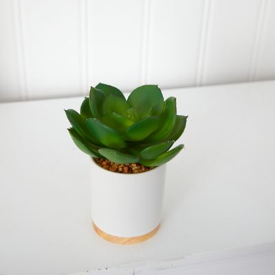 Image showing  6 in. Artificial Succulent Plant in White Ceramic Planter