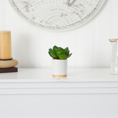 Image showing  6 in. Artificial Succulent Plant in White Ceramic Planter