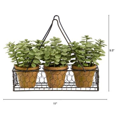 Image showing  7 in. Artificial Mini Jade Garden Plant in Hanging Planter