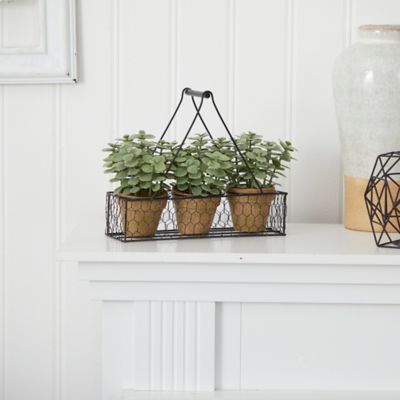 Image showing  7 in. Artificial Mini Jade Garden Plant in Hanging Planter