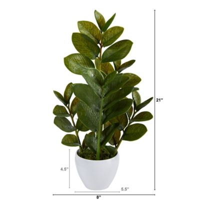 Image showing  22 in. Artificial Zamioculcas Plant in White Planter