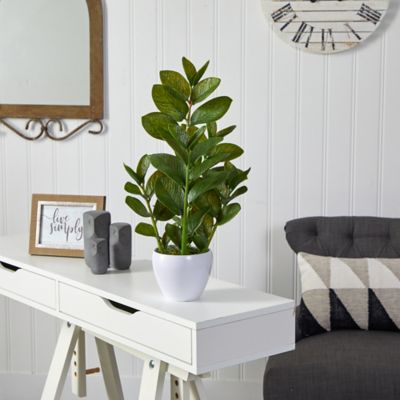 Image showing  22 in. Artificial Zamioculcas Plant in White Planter