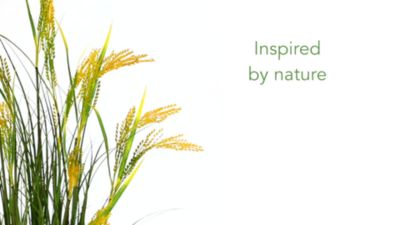 Image showing  3.5 ft. Artificial Wheat Grain Plant