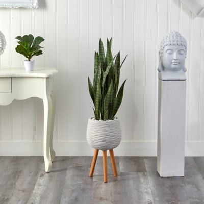 Image showing  46 in. Artificial Sansevieria Plant in White Planter with Stand