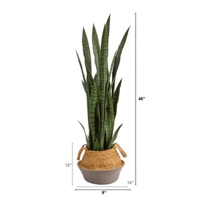 Image showing  46 in. Artificial Sansevieria Plant in Boho Chic Handmade Cotton & Jute Gray Woven Planter