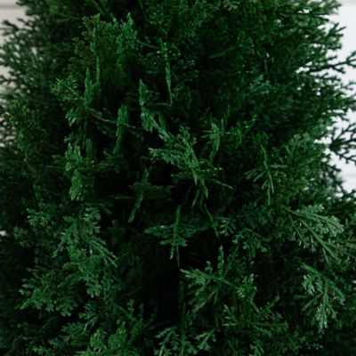 Image showing  2.5 ft. Artificial Cedar Plant with Integrated Ground Stake, UV Resistant, Indoor/Outdoor, 2 pc.