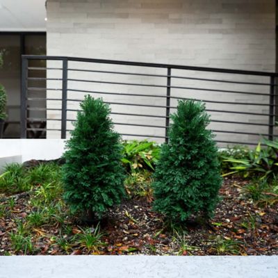 Image showing  2.5 ft. Artificial Cedar Plant with Integrated Ground Stake, UV Resistant, Indoor/Outdoor, 2 pc.
