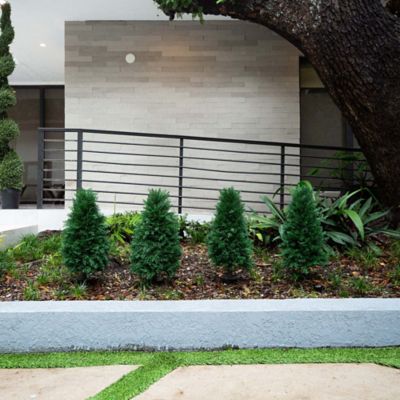 Image showing 6 th Nearly Natural 2.5 ft. Artificial Cedar Plant with Integrated Ground Stake, UV Resistant, Indoor/Outdoor, 2 pc.