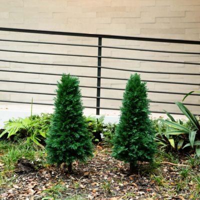 Image showing  3 ft. Artificial Cedar Plant with Integrated Ground Stake, UV Resistant, Indoor/Outdoor, 2 pc.