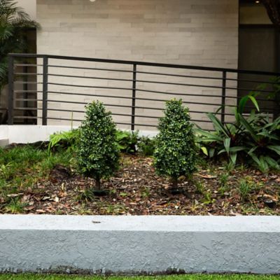 Image showing  2.5 ft. Artificial Boxwood Plant with Integrated Ground Stake, UV Resistant, Indoor/Outdoor, 2 pc.