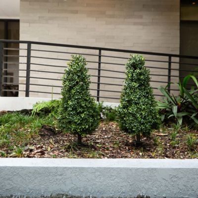 Image showing  3 ft. Artificial Boxwood Plant with Integrated Ground Stake, UV Resistant, Indoor/Outdoor, 2 pc.
