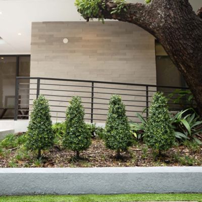 Image showing 6 th Nearly Natural 3 ft. Artificial Boxwood Plant with Integrated Ground Stake, UV Resistant, Indoor/Outdoor, 2 pc.