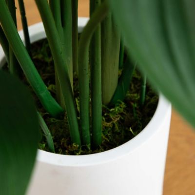 Image showing  43 in. Artificial Sky Bird Tree in White Decorative Planter