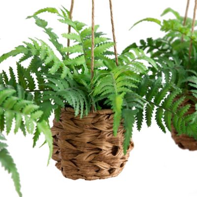 Image showing  10 in. Artificial Boston Fern in Hanging Wicker Basket, UV Resistant, Indoor/Outdoor, 3 pc.