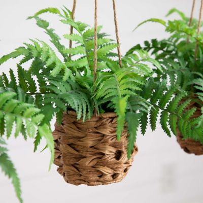 Image showing  10 in. Artificial Boston Fern in Hanging Wicker Basket, UV Resistant, Indoor/Outdoor, 3 pc.