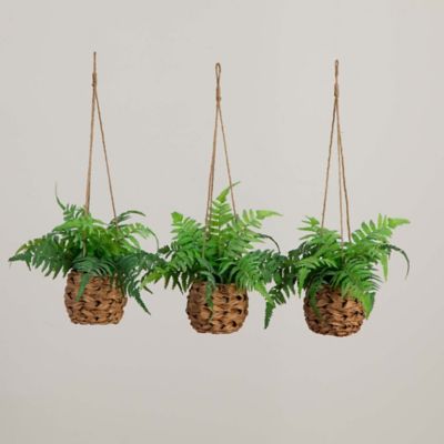 Image showing  10 in. Artificial Boston Fern in Hanging Wicker Basket, UV Resistant, Indoor/Outdoor, 3 pc.