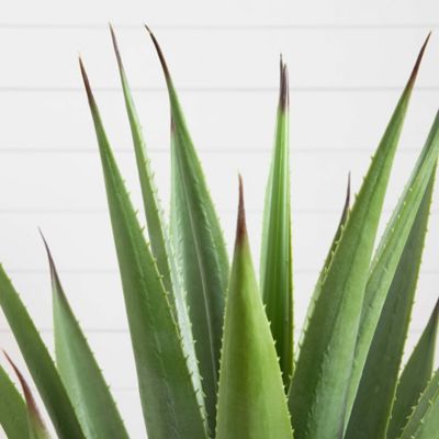 Image showing 2 th Nearly Natural 28 in. Artificial Agave Plant