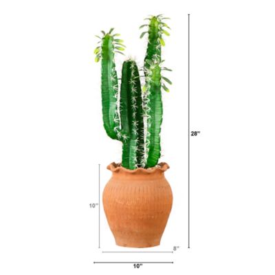 Image showing  28 in. Artificial Cactus in Terracotta Planter