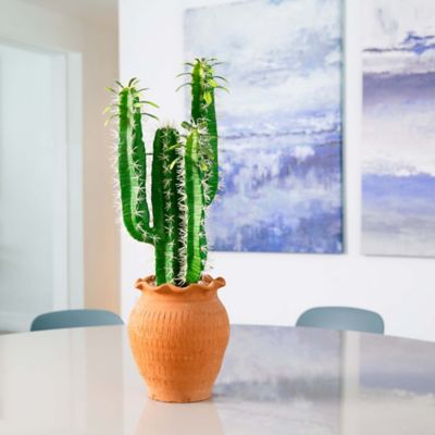 Image showing  28 in. Artificial Cactus in Terracotta Planter