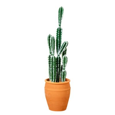 Nearly Natural 41 in. Artificial Cactus in Terracotta Planter