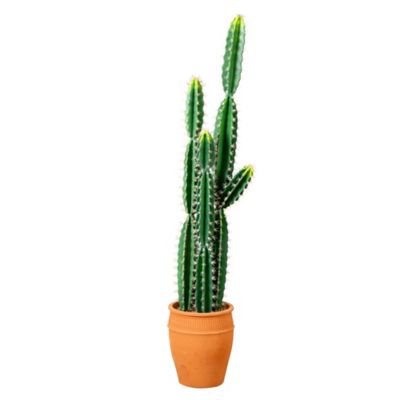 Nearly Natural 5 ft. Artificial Cactus in Terracotta Planter