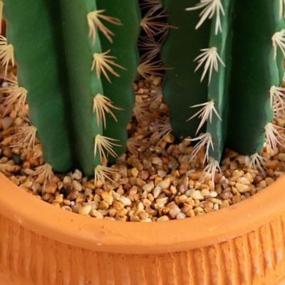 Image showing  5 ft. Artificial Cactus in Terracotta Planter