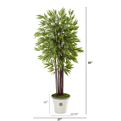 Image showing  5.5 ft. Artificial Bamboo Tree in Decorative Planter
