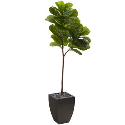Nearly Natural 5.5 ft. Artificial Fiddle Leaf Tree in Black Planter, Real Touch