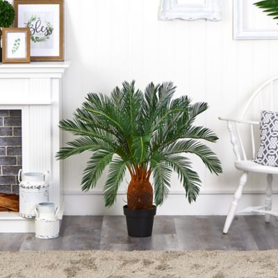 Image showing  3 ft. Artificial Cycas Tree