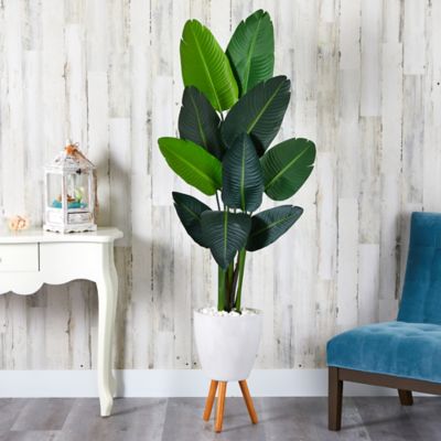 Image showing  Artificial 6 ft. Travelers Palm Tree in White Planter with Stand