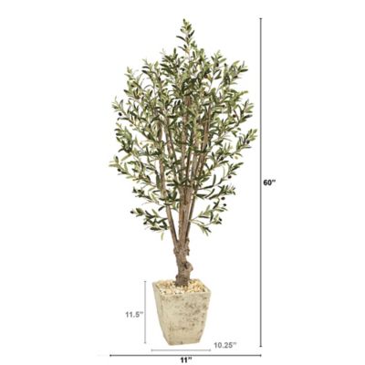 Image showing  Artificial 5 ft. Olive Tree in Country White Planter