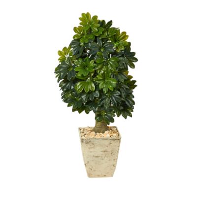 Nearly Natural 3.5 ft. Artificial Schefflera Tree in Country White Planter, Real Touch