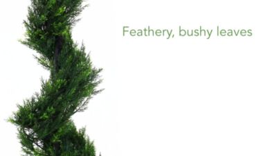 Image showing  3 ft. Artificial Cypress Spiral Topiary Tree