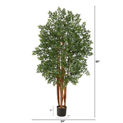 Image showing  5 ft. Artificial Aralia Tree