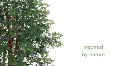 Image showing  5 ft. Artificial Aralia Tree