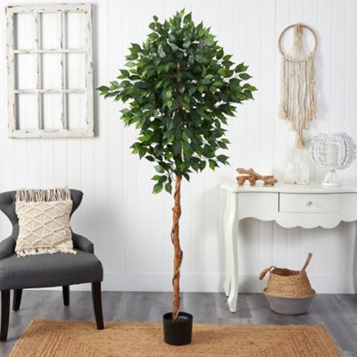 Image showing  6 ft. Artificial Ficus Tree