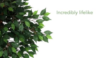 Image showing  6 ft. Artificial Ficus Tree