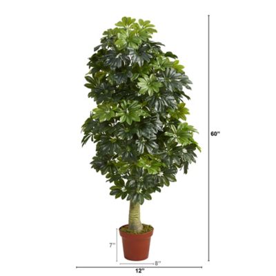 Image showing  5 ft. Artificial Schefflera Tree, Real Touch