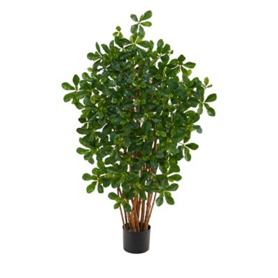 Nearly Natural 3.5 ft. Artificial Black Olive Tree