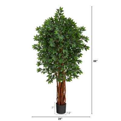 Image showing  5.5 ft. Artificial Lychee Tree with Natural Trunk