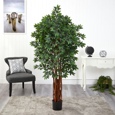 Image showing  5.5 ft. Artificial Lychee Tree with Natural Trunk