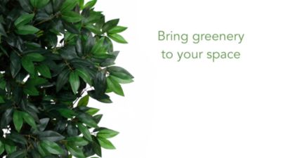 Image showing  5.5 ft. Artificial Lychee Tree with Natural Trunk