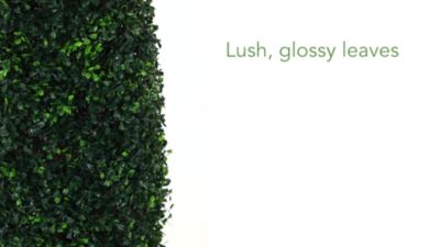 Image showing  4 ft. Artificial Boxwood Topiary Tree, UV Resistant, Indoor/Outdoor