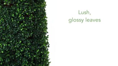 Image showing  5 ft. Artificial Boxwood Topiary Tree, UV Resistant, Indoor/Outdoor